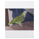 Parrot flyers