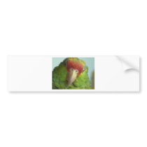 parrot front view bumper sticker