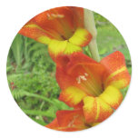 Parrot Gladiolas Round Sticker