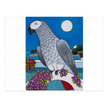 Parrot in Paradise Postcard