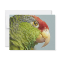 parrot personalized invite