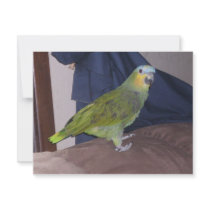 Parrot invitations