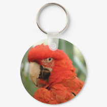 Parrot keychains by CloudDancer7 Parrot keychains