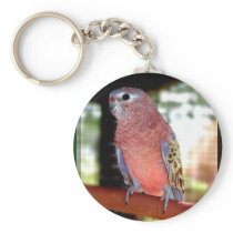 parrot keychain