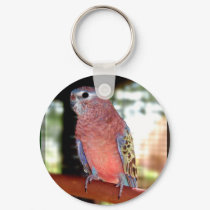 parrot keychain by Petcetera parrot keychain