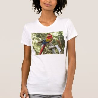 Parrot Ladies Basic T-Shirt