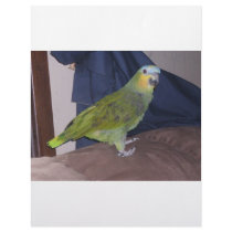Parrot letterhead