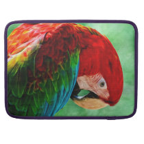 Parrot Macaw 15" MacBook Pro Laptop Sleeve macbook sleeves