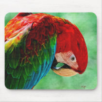 Parrot Macaw Mousepad by Lois Bryan mousepads