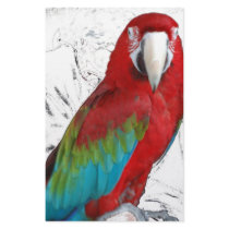 Parrot/Macaw stationery