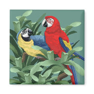 Parrot Magnets magnet