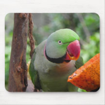 Parrot Mouse pad
