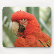 Parrot Mousepad by deesbasenjis Parrot Mousepad