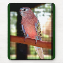 Parrot Mousepad