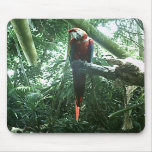 Parrot Mousepad Mouse Pad