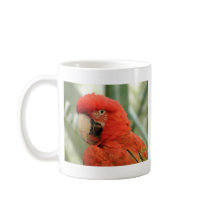 Parrot mugs by CloudDancer7 Parrot mugs