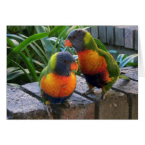 Parrot Pals Cards