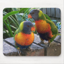 Parrot Pals Mouse Pads