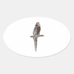 Parrot Parrots Bird Birds Black Cartoon Art Animal Sticker