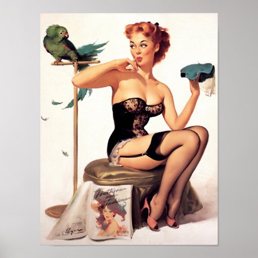 Parrot Pin Up Print
