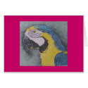 parrot portrait cards