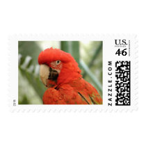 Parrot postage
