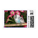 parrot postage