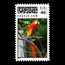 Parrot postage by freya18801 Parrot postage