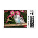 Parrot postage