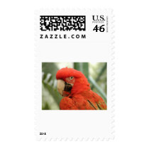 Parrot postage