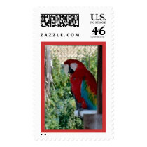 Parrot Postage Stamp by Shewolf3 Parrot Postage Stamp
