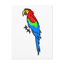 parrot postcards