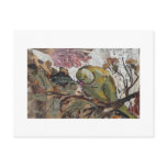 parrot post cards