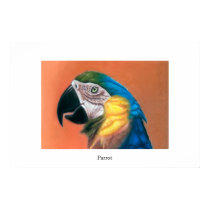 Parrot posters