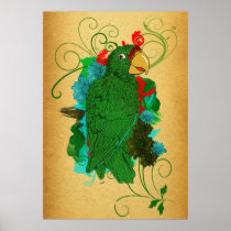 Parrot Print/Cotorra