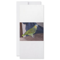 Parrot rack cards by KatsEyes Parrot rack cards
