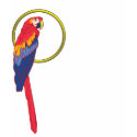 PARROT t-shirts by nassosvakalis PARROT t-shirts