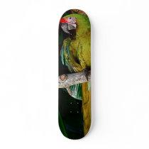 Parrot skateboards by LadyVENUS Parrot skateboards