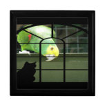 Parrot Spots Cat Jewelry Boxes