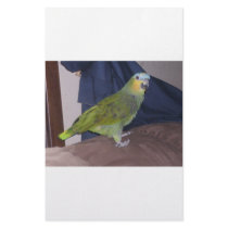 Parrot stationery