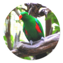 Parrot sticker