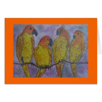 parrot talk cards