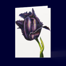 Parrot Tulip Bud cards