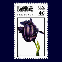 Parrot Tulip Bud Postage Stamp by artbyjolyn Parrot Tulip Bud Postage Stamp