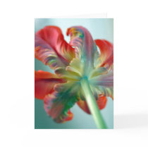 parrot tulip cards