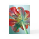parrot tulip cards by fleurdujour parrot tulip cards