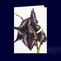 Parrot Tulip cards