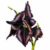 Parrot Tulip photo sculptures