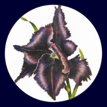 Parrot Tulip, Sticker