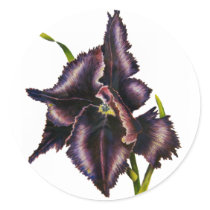 Parrot Tulip, Sticker